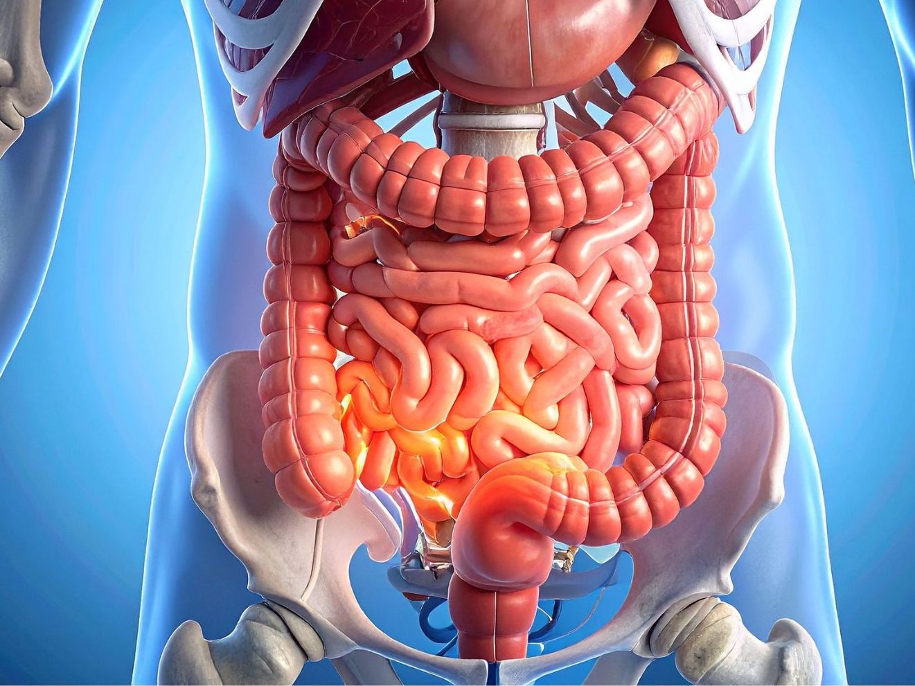 Neue Methode: Sauerstoff durch den Anus – Studie zeigt erste Erfolge