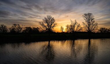 Berlin & Brandenburg: Grauer Start und sonniger Abschluss