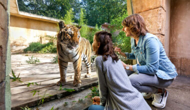 Erlebnis-Zoo Hannover unter den besten Zoos Europas