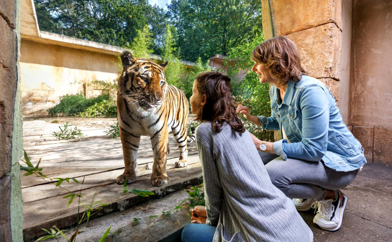Erlebnis-Zoo Hannover unter den besten Zoos Europas