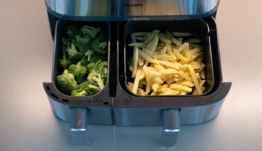 Die besten Airfryer mit Dual Zone im Test