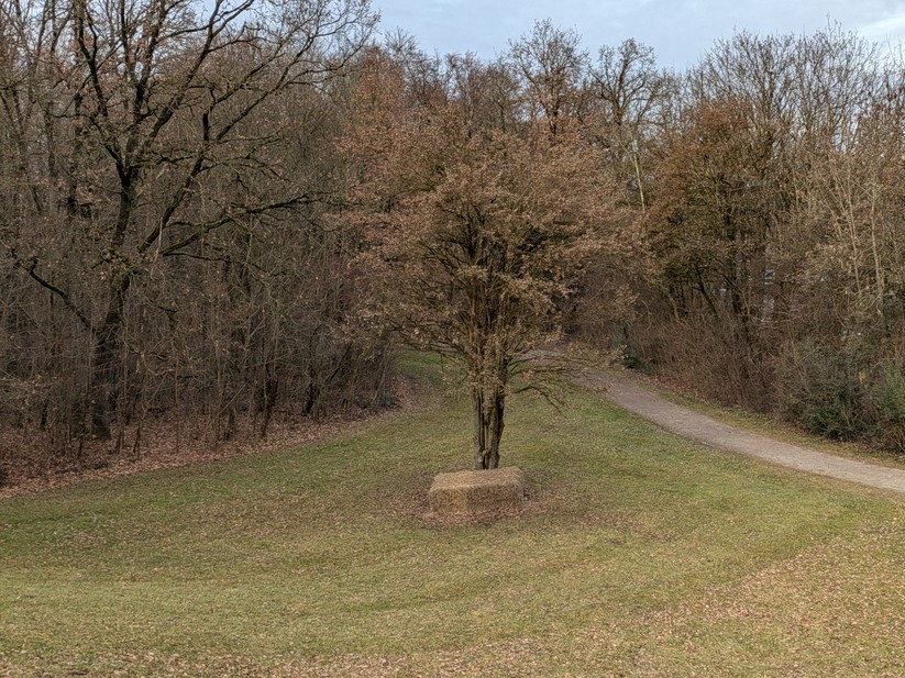 Google Pixel 10 Pro Fold - Originalaufnahmen