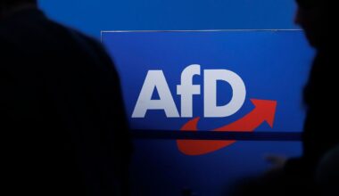 Sachsen-Anhalt: AfD-Reise in die USA löst Kritik im Landtag aus