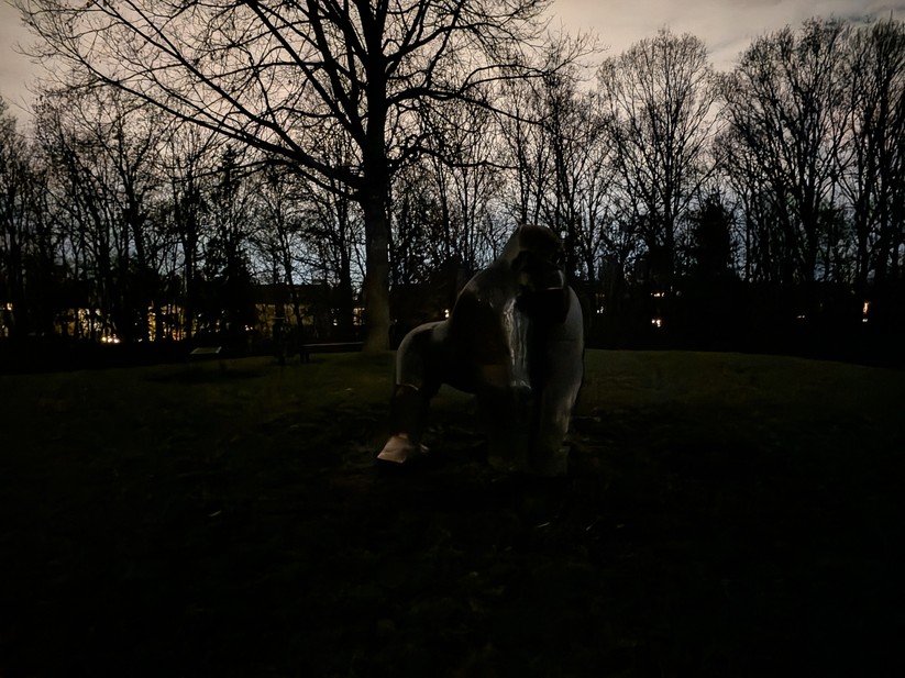 Google Pixel 10 Pro Fold - Originalaufnahmen