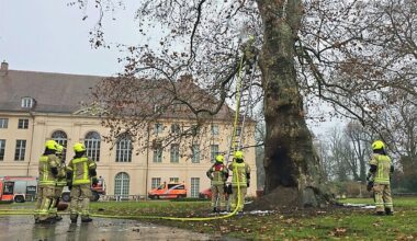 Berlin & Brandenburg: Polizei ermittelt nach Brand an historischem Baum