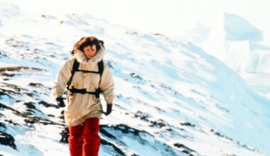 Fräulein Smillas Gespür für Schnee