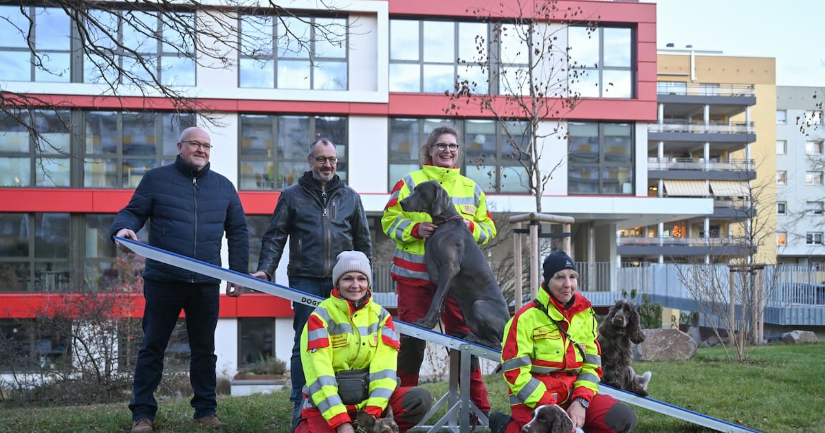 Rettungshunde testen Trainingsgerät vom Lions Club Radebeul