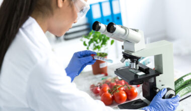 Artikelbild EU kontrolliert Lebensmittel-Importe strenger