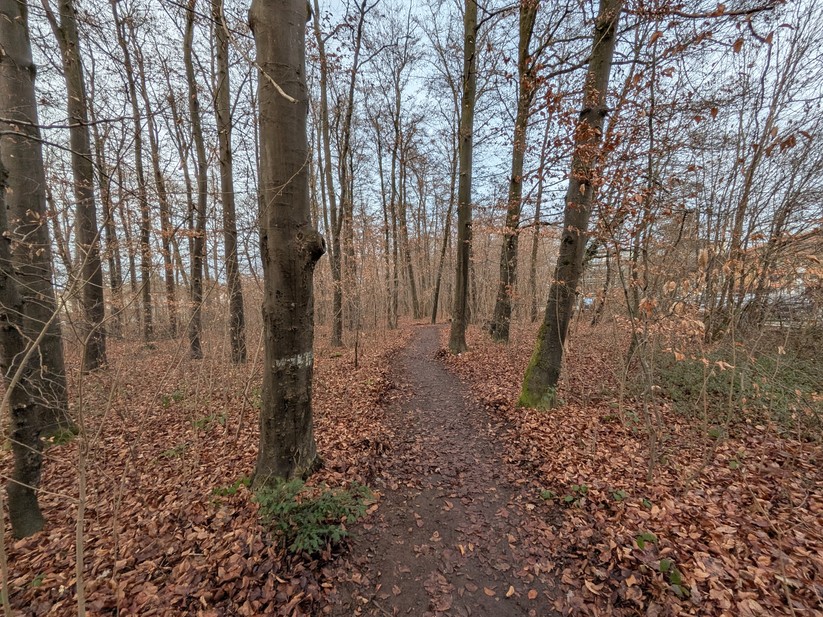 Google Pixel 10 Pro Fold - Originalaufnahmen