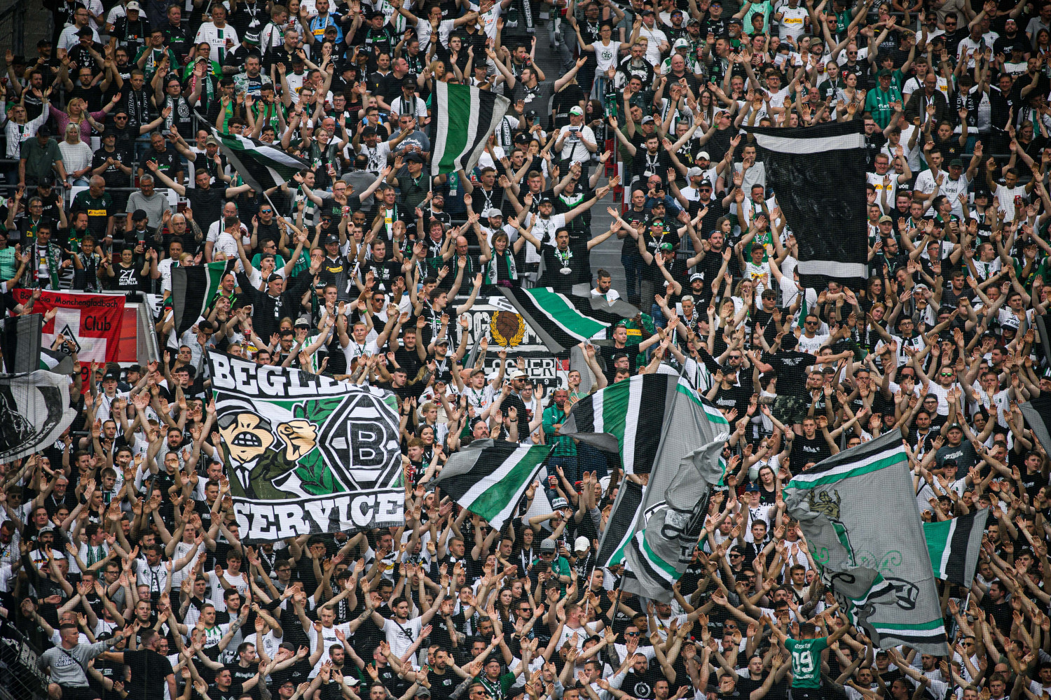 Gladbach - Fans