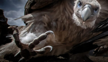 Sonderausstellung „Glanzlichter“ » Wir sind Müritzer