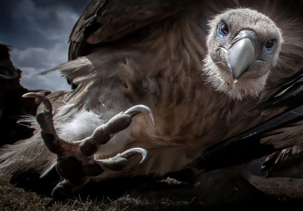 Sonderausstellung „Glanzlichter“ » Wir sind Müritzer