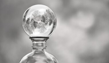 Fels, Federn, Flammen: Die Bilder der Woche 50