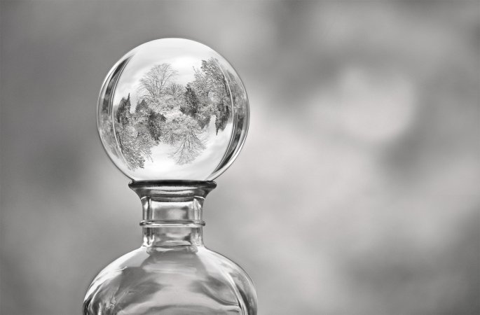 Fels, Federn, Flammen: Die Bilder der Woche 50