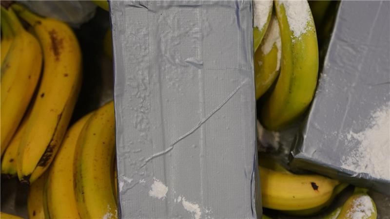 Weniger große Kokainfunde - Verlagerung nach Südwesteuropa? Große Kokain-Lieferungen aus Südamerika werden häufig unter Bananen versteckt. (Symbolbild)