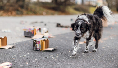 Gut geschützt, wenn es draußen zischt und knallt