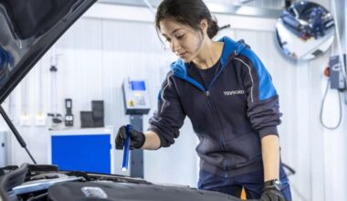 Jährliche Hauptuntersuchung für ältere Autos fällt bei EU-Staaten durch