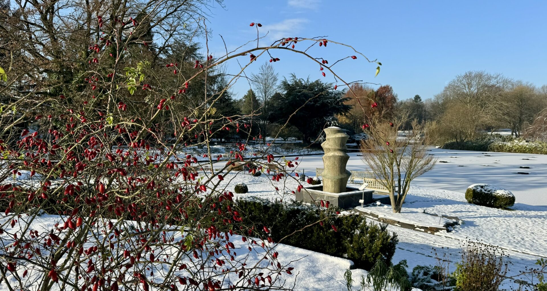 Wintervorträge im Botanischen Garten - Kloenschnack
