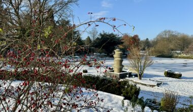 Wintervorträge im Botanischen Garten - Kloenschnack