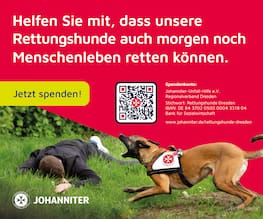 Rettungshund der Johanniter Dresden bei Suche nach vermisster Person im Gelände