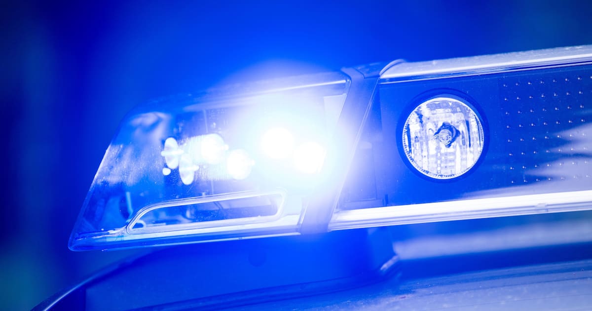 Kiel Europaplatz: Diebstahl in Computerladen