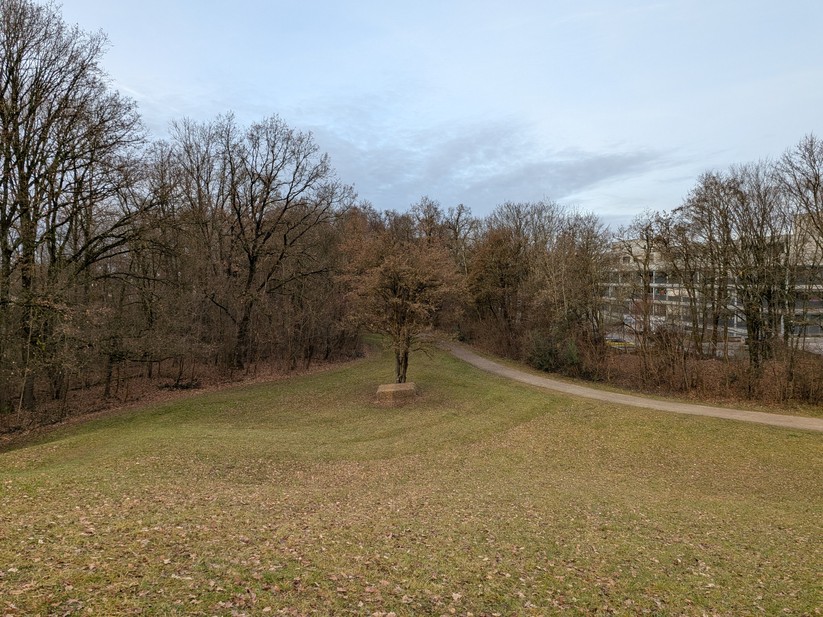 Google Pixel 10 Pro Fold - Originalaufnahmen