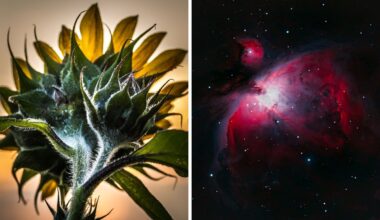 Das waren eure Fotos für Dezember 2025