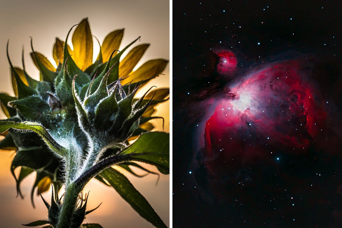 Das waren eure Fotos für Dezember 2025