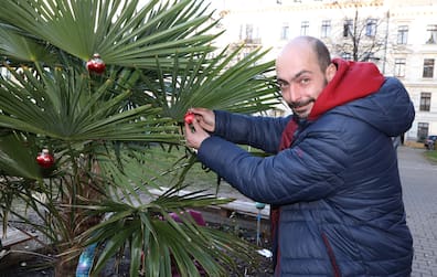 Florian beim Schmücken der Palme vor der Oase in der Nürnberger Straße.