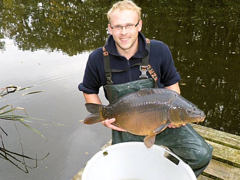 Man hält Karpfen in den Händen