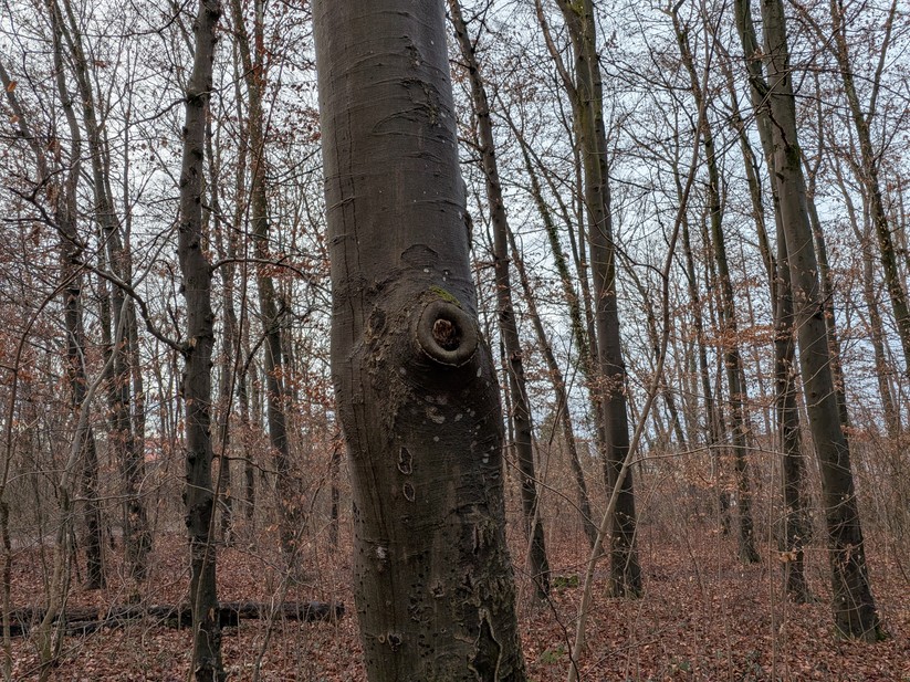 Google Pixel 10 Pro Fold - Originalaufnahmen