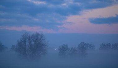 Berlin & Brandenburg: Regnerisches Nikolauswochenende