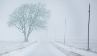 Der schwache Polarwirbel friert Teile der USA bei minus 30 Grad ein - kommt der Kälteschock auch zu uns?