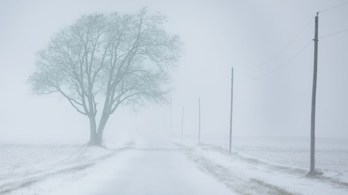 Der schwache Polarwirbel friert Teile der USA bei minus 30 Grad ein - kommt der Kälteschock auch zu uns?