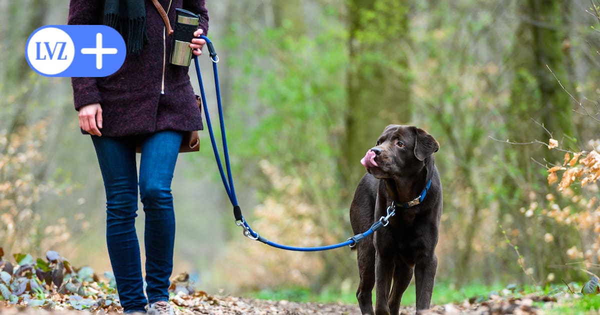 Neue Satzung winkt mit Rabatt