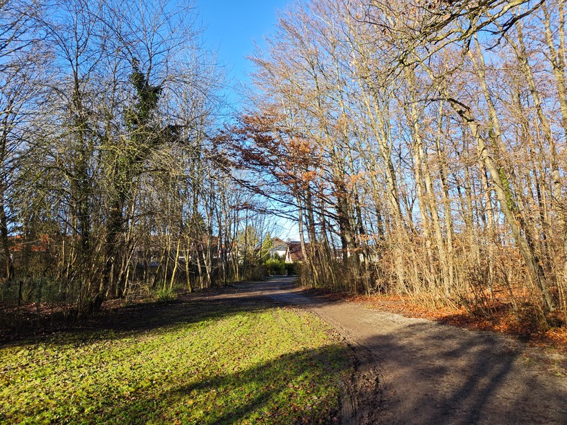 Poco F8 Pro - Originalaufnahmen 