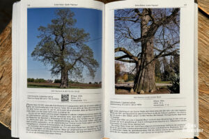 Blick ins Buch. (Foto: Bührke)