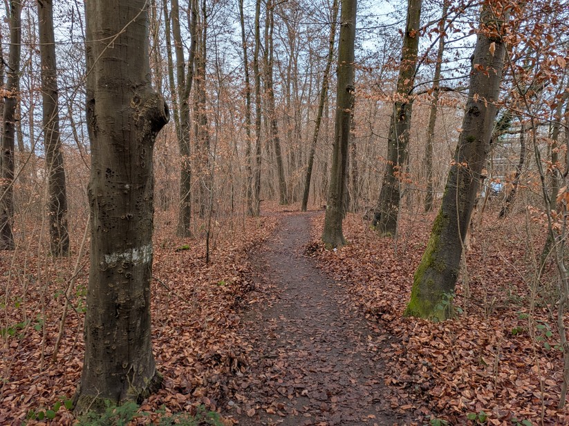 Google Pixel 10 Pro Fold - Originalaufnahmen