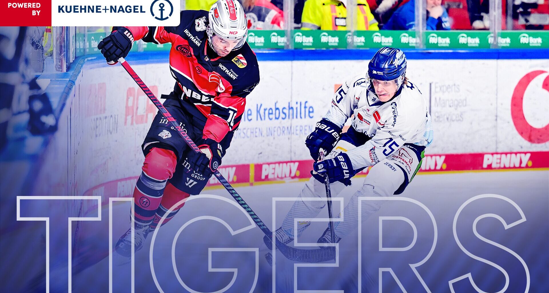 Last-Minute-Jubel im Derby: Tigers drehen Partie in Nürnberg