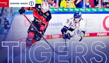 Last-Minute-Jubel im Derby: Tigers drehen Partie in Nürnberg