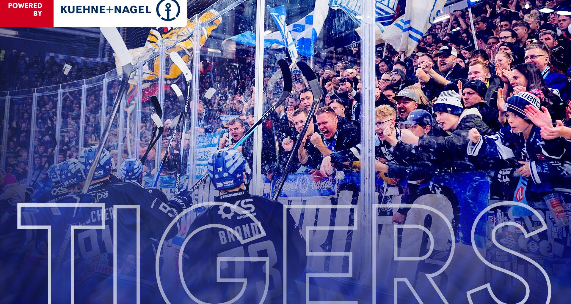 Derby am 2. Weihnachtstag: Tigers zu Gast in Nürnberg