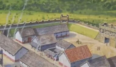 New findings on the origin and late arrival of domestic cats in Europe