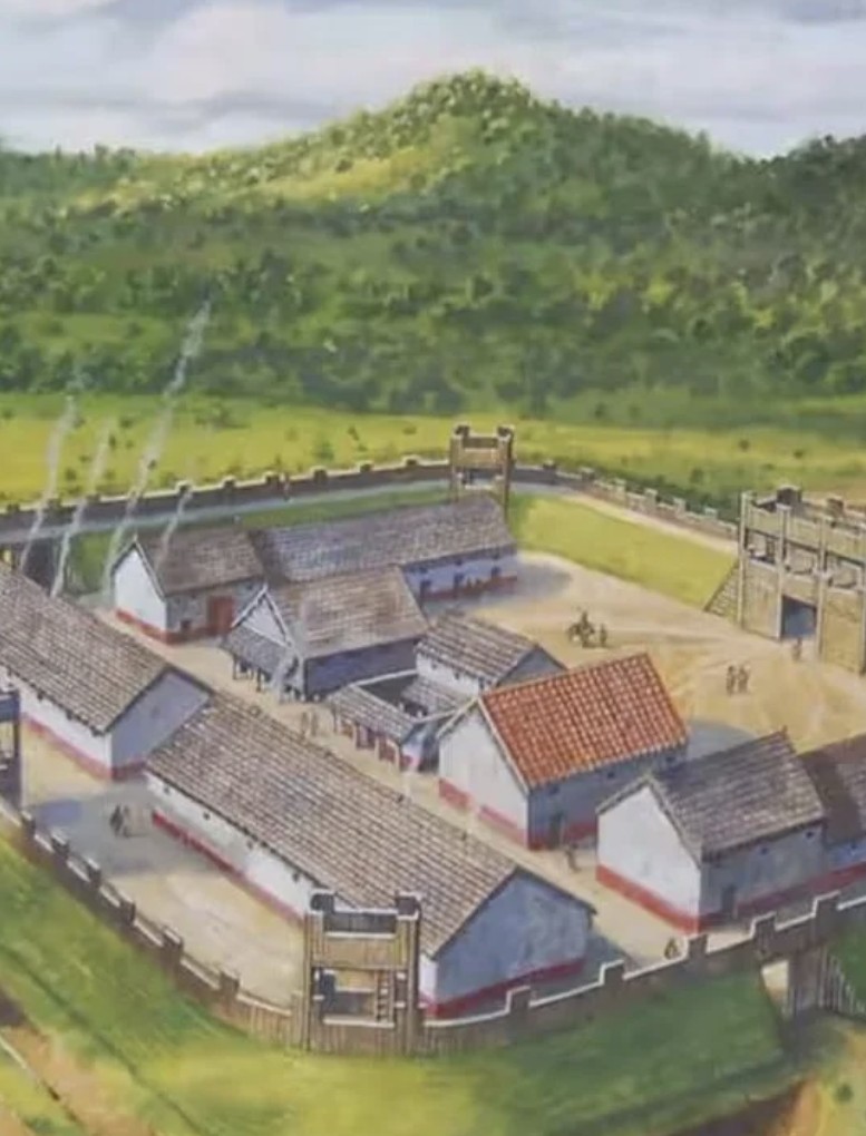 New findings on the origin and late arrival of domestic cats in Europe