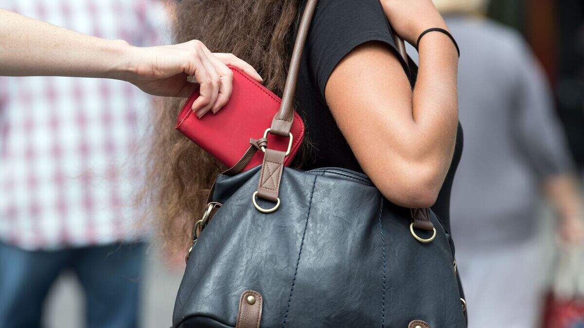 In der Vorweihnachtszeit sind Taschendiebe besonders aktiv (Symbolbild).