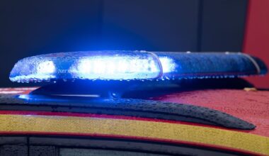 Sachsen: Brand in Dresden Kinder- und Jugendfarm Spielweise