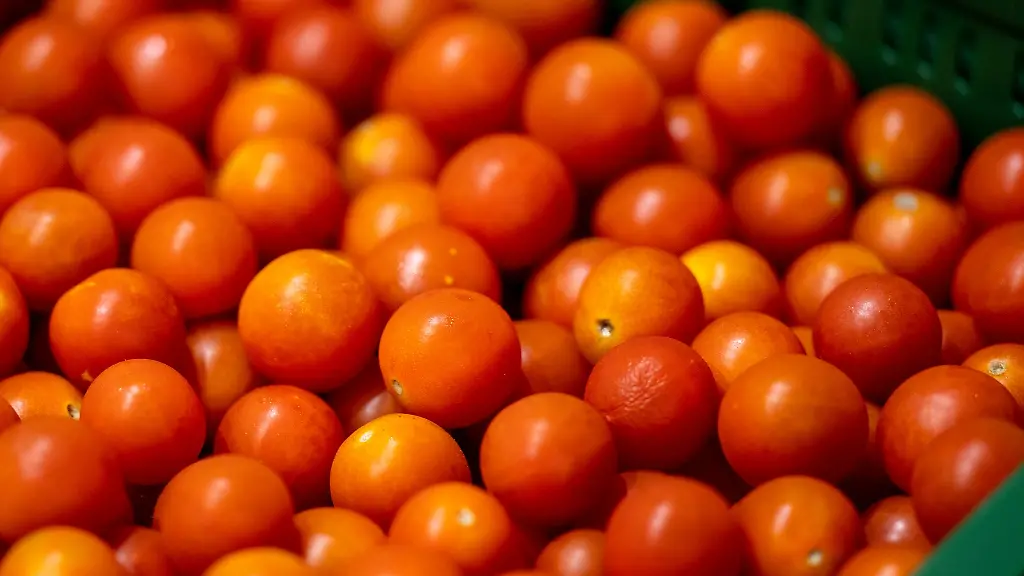 Tomaten-aus-Brandenburg-statt-aus-dem-Ausland-Brandenburgs-Agrarministerin-wirbt-fuer-ein-Umdenken-im-Lebensmitteleinzelhandel