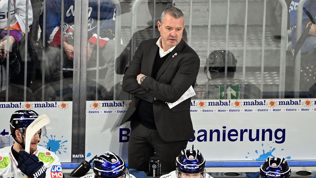 Berlin & Brandenburg: Eisbären Berlin verlieren mit 3:5 in Straubing