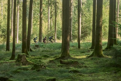 Ganz naturnah: Der neue Mountainbike-Rundkurs wird ab dem Frühjahr den Naturpark Hessischer Spessart mit dem Biosphärenreservat Rhön verbinden.