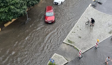 Ökolöwe fordert mehr Schwammstadt im Viertel · Leipziger Zeitung