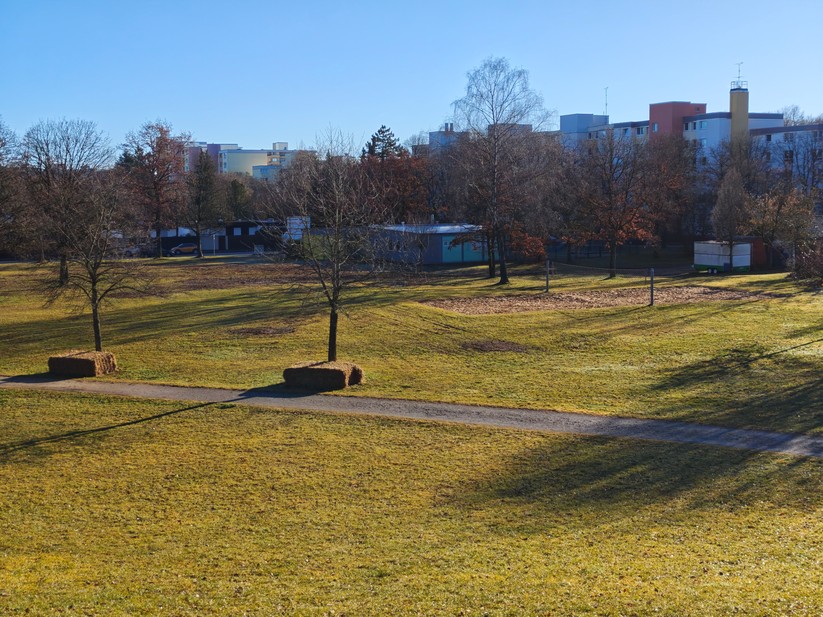 Poco F8 Pro - Originalaufnahmen 